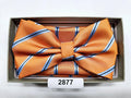 Men’s BowTie & Hanky Set by Charles Wain