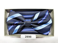 Men’s BowTie & Hanky Set by Charles Wain