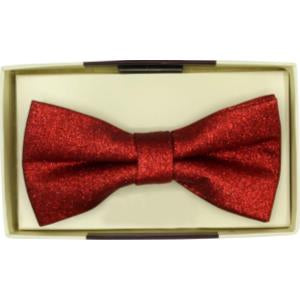 Men’s Sparkle Bow Tie in a Box