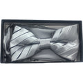 Men's Pleated Bow Tie & Hanky-DF
